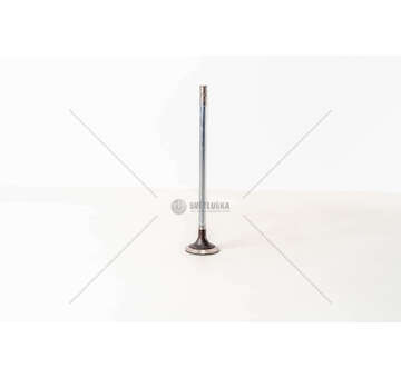 Inlet Valve CURSOR 10/11 - F3AE0681 - 440E39 IN Mec-Diesel