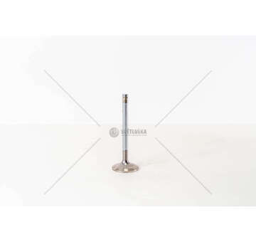 Inlet Valve D 0824 - D 0826 IN 49 X Mec-Diesel