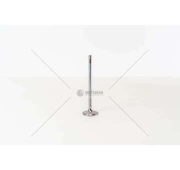 Inlet Valve D 0834/0836LOH E3/E4 IN Mec-Diesel