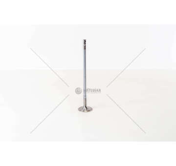 Inlet Valve D 12 A - EURO 2 - FH12 IN 2 GOLE Mec-Diesel