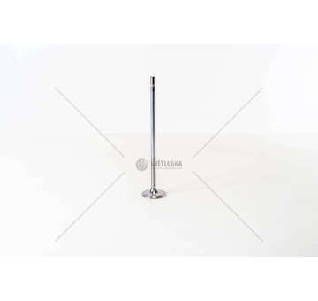 Inlet Valve D 12 C/D - EURO 3 - FH12 - 4V.IN 1 GOLA 40 X Mec-Diesel