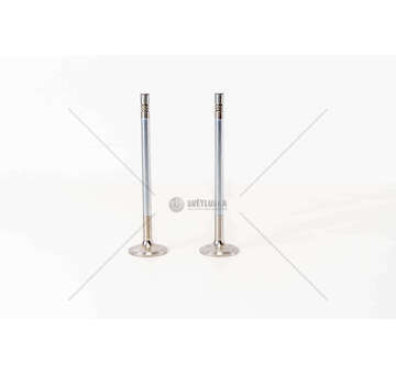 Inlet Valve D 2066LF/LOH/LUH/D 2676LF E3/4 D.120 IN Mec-Diesel