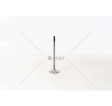 Inlet Valve D 2876 LF07/11/21/22 - 1 GOLA/ 24 VALV/IN Mec-Diesel