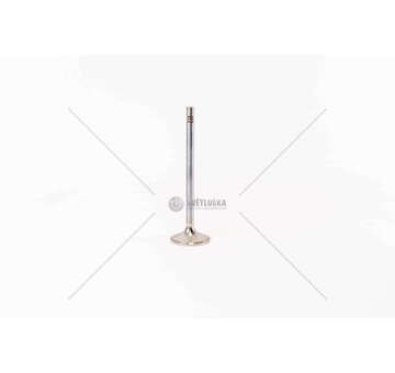 Inlet Valve D 2876 LF07/11/21/22 - 3 GOLE/ 24 VALV/IN Mec-Diesel