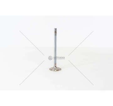 Inlet Valve D 2876 LF12/13/22-LOH20/21 3GO LE 24V/IN Mec-Diesel