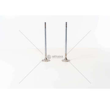 Inlet Valve D13A /B/C - FH/FM/FMX/9700/9900 E4/5 IN Mec-Diesel