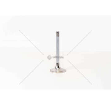 Inlet Valve D2530/38-D2566-D2842/66 FUNGO58 30°1 GOLA IN Mec-Diesel