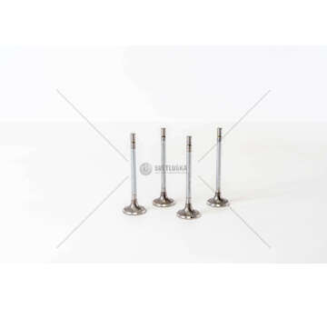 Inlet Valve D3EA/D4EA - ACCENT/TUCSON/MATRIX Mec-Diesel