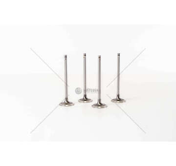 Inlet Valve D7F 700/710/720 - CLIO/KANGOO 1.2 IN Mec-Diesel