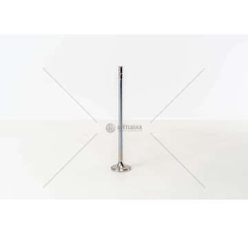 Inlet Valve D9A260/300/340/380 - FM/FM9 IN 1 GROOVE Mec-Diesel