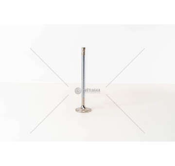 Inlet Valve DC 11/12/16 - P,G,R,T/4-SERIES 20° 1 GOLA IN Mec-Diesel