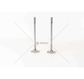 Inlet Valve DC13.05/06/07-DC16.09-P,G,R,T-SERIE4 GOLE IN Mec-Diesel