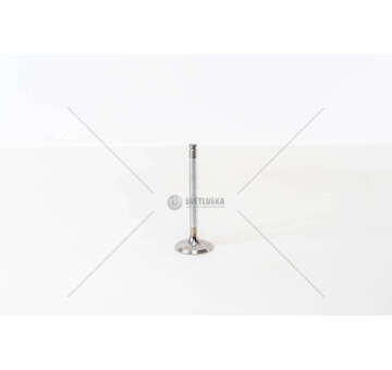 Inlet Valve DEDRA 1600 IN Mec-Diesel