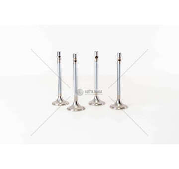 Inlet Valve DOBLO'-MAREA-BRAVO D/TD 100 1.9/2.4- INKAPPA Mec-Diesel