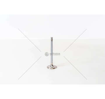 Inlet Valve DUCATO-PUNTO-TIPO-145 1.9 TD IN Mec-Diesel