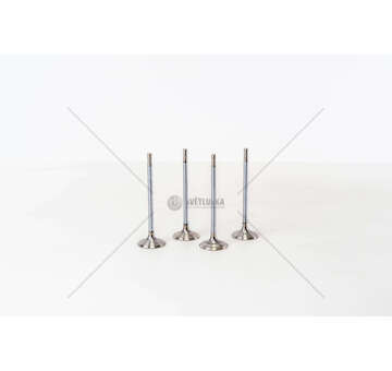 Inlet Valve EP3/EP3C/N12 - 207/208/308 1.4 16V IN Mec-Diesel