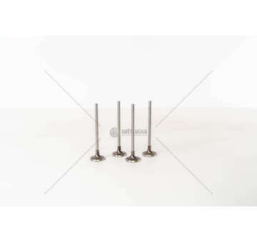 Inlet Valve ET3J4 C2/C4/307 IN Mec-Diesel