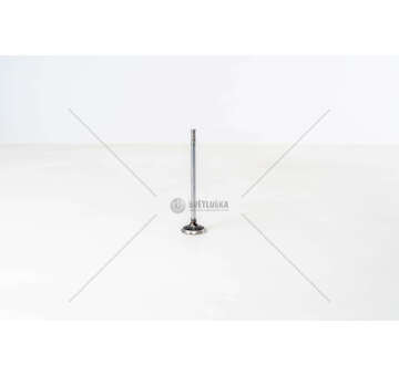 Inlet Valve F1AE0481 - DAILY 35C10/S10 - IN Iveco