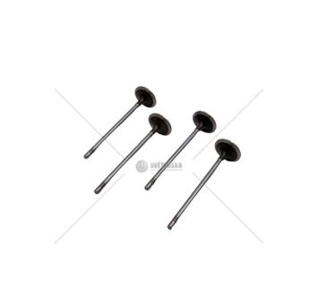 Inlet Valve F1CE0481A - DAILY 35C14 - 3.0 JTD-IN-30° Mec-Diesel