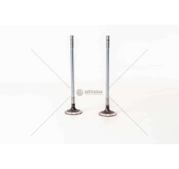 Inlet Valve F2BE0681/3681 - CURSOR 8 - STRALIS IN Mec-Diesel