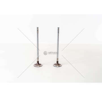 Inlet Valve F2CE9687 - CURSOR 9 IN Mec-Diesel