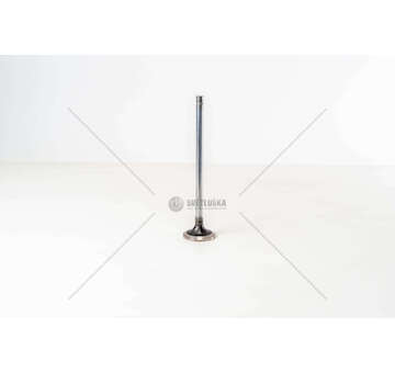 Inlet Valve F3BE0681/3681 - CURSOR 13 - STRALISIN Iveco