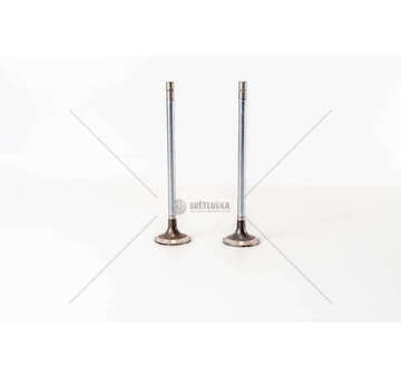 Inlet Valve F3BE0681/3681 - CURSOR 13 - STRALISIN Mec-Diesel