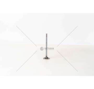 Inlet Valve F4AE0481/F4AE0681 - MAGG.+0,10 IN Mec-Diesel