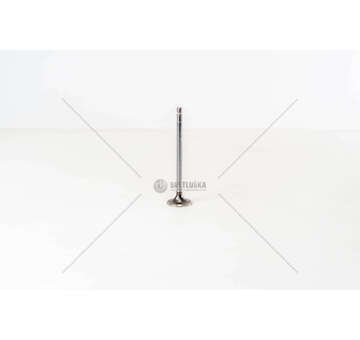 Inlet Valve F4AE0481/F4AE0681 - TECTOR IN Iveco