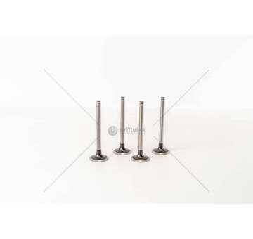 Inlet Valve F8Q - 1.9 D RAPID IN Mec-Diesel