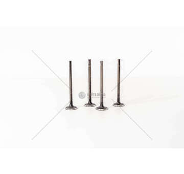 Inlet Valve FIESTA 1.2 16V M7JA/B FUJA C2 IN 26 X Mec-Diesel