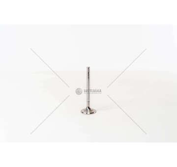 Inlet Valve FOCUS/C-MAX/FIESTA - DURATORQ 1.8TDCI IN Mec-Diesel