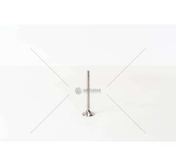 Inlet Valve GOLF 2.0 TDI 16V CBAA 28,1X6X9 9,3/45° IN Mec-Diesel