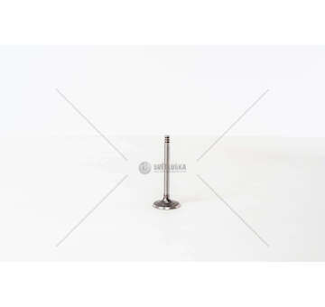 Inlet Valve GOLF-2000TDI-8V-36X7X89.5-45° IN 3GOLE Mec-Diesel