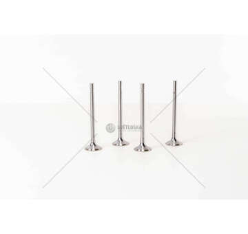 Inlet Valve GOLF/POLO 1.6TDI CAYE/CAYD/CAY C/CAYB IN Mec-Diesel