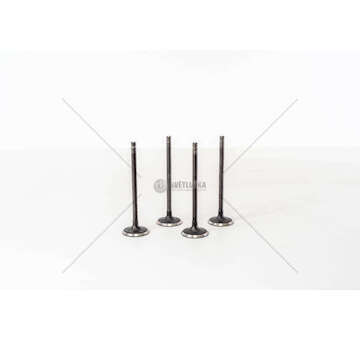 Inlet Valve IGNIS 1.6 16V M16A Mec-Diesel