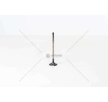 Inlet Valve INLET VALVE (2) VAG (CNG) IN TRW