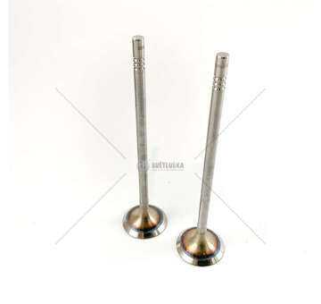 Inlet Valve INLET VALVE (2) VW/AUDI/SEAT/SKODA TRW