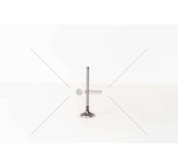 Inlet Valve KANGOO/MEGANE F9Q - 1.9 DTI/TD CI IN Mec-Diesel