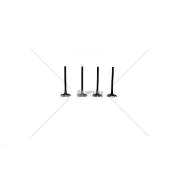 Inlet Valve KING KAB/TERRANO 2.7D/TD-TD27 Mec-Diesel