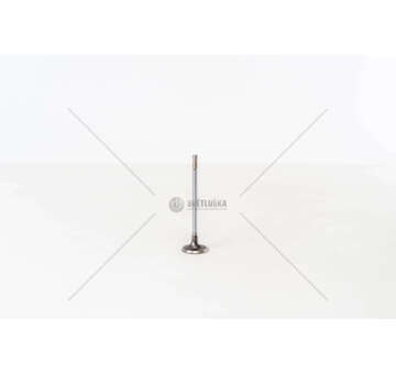 Inlet Valve M1CA/P4JA/SFCA - FOCUS/FIESTA 1.0 IN Mec-Diesel