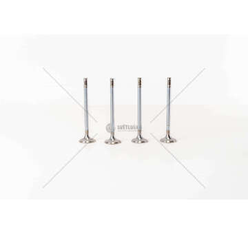 Inlet Valve MAREA/BRAVO/KAPPA 2000 20 V. IN Mec-Diesel