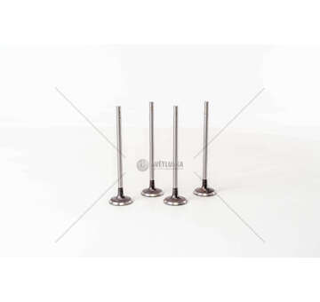 Inlet Valve MASTER/TRAFIC 2.5DCI 16V G9T/ G9U IN Mec-Diesel