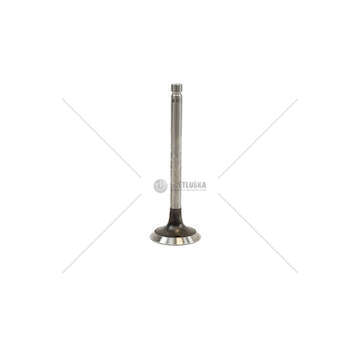 Inlet Valve MAZDA/KIA/SUZUKI RE-RFN-RF-RF/CX>97 Mec-Diesel