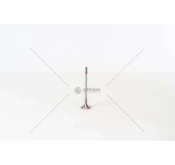 Inlet Valve N47 D16 A - 1 (F20)/COUNTRYMAN IN Mec-Diesel