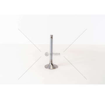 Inlet Valve OM 401/402/403-COLL.8 - FERMO QUADRO IN Mec-Diesel