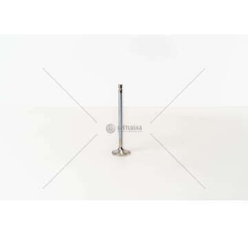 Inlet Valve OM 904/906/924/926LA - L.125,9 - 20° - IN Mec-Diesel