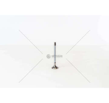 Inlet Valve PANDA 750 156A4.000 156A4.048 IN Mec-Diesel