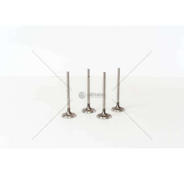 Inlet Valve POLO 1.4 AUD ALD AKK AKP IN Mec-Diesel