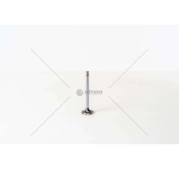 Inlet Valve PUNTO 60 - 1242 - PANDA 4X4 IN Mec-Diesel